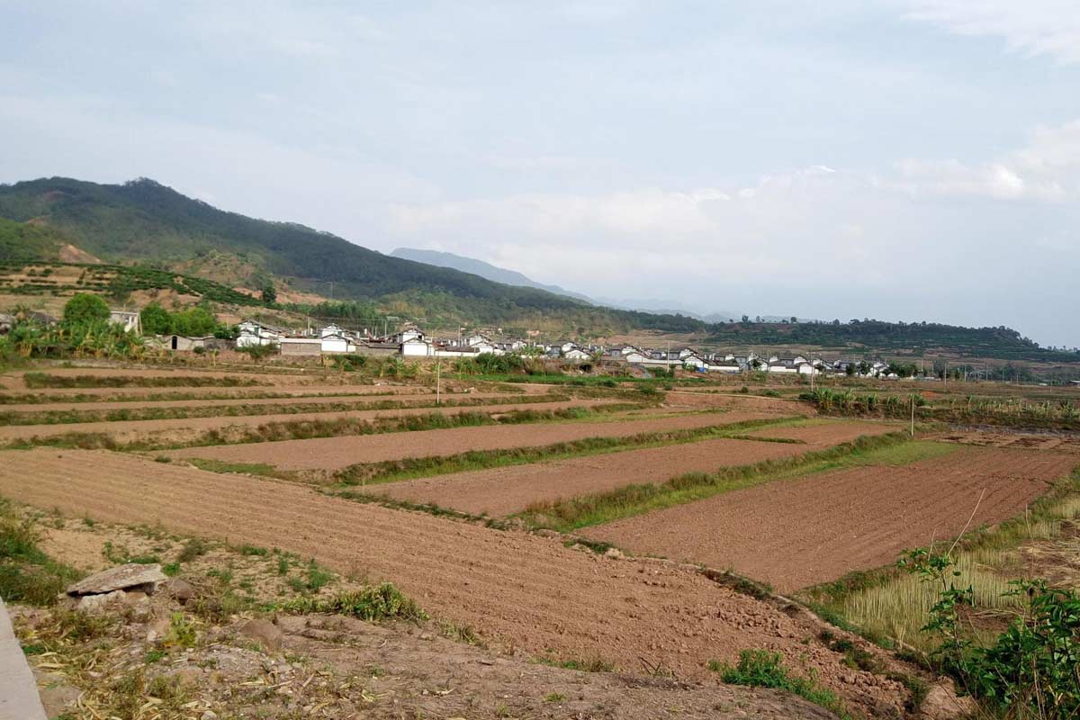 服務(wù)項(xiàng)目